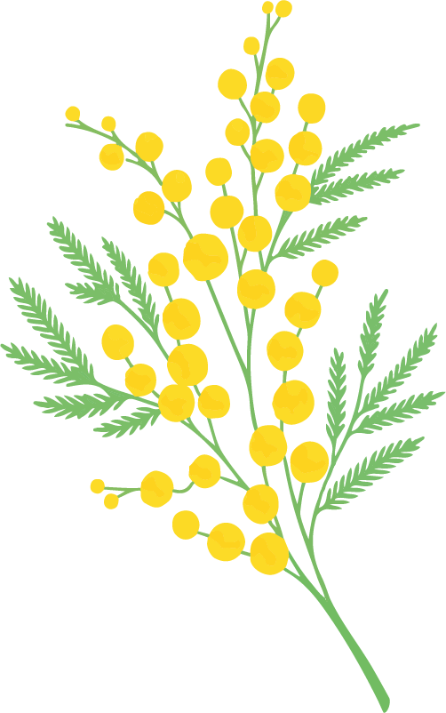 Kübra profile
